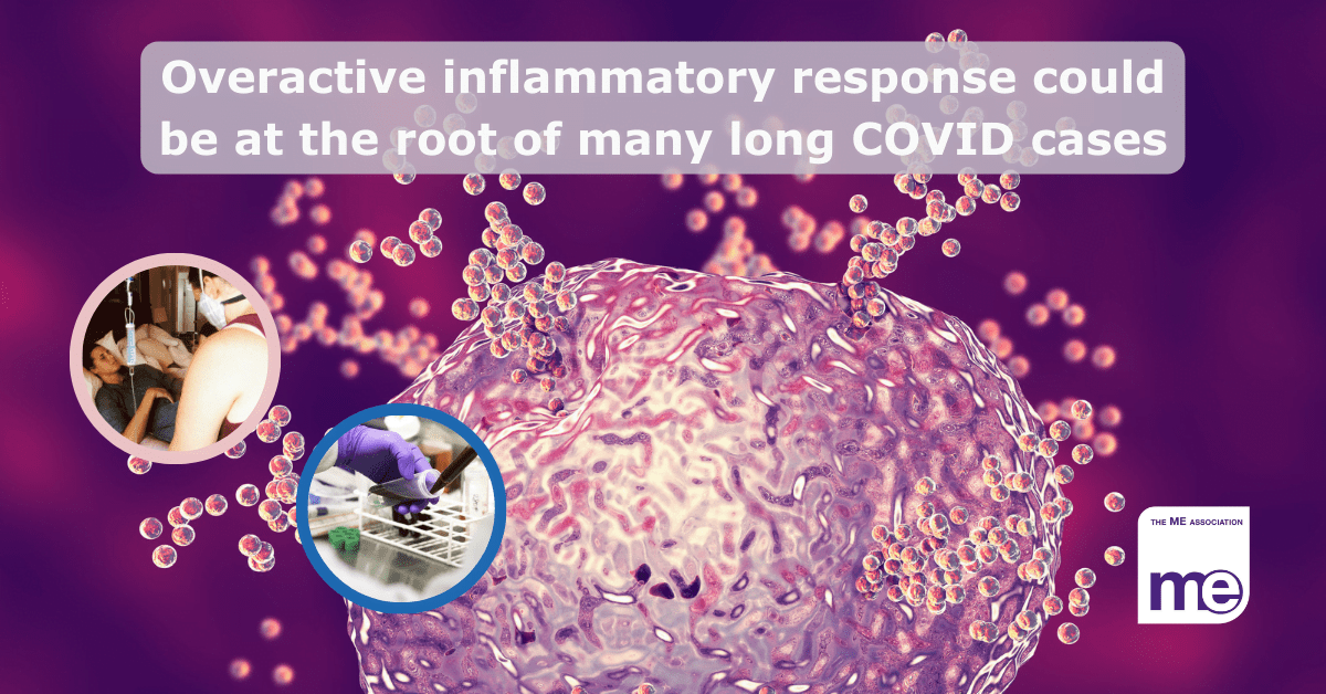 Image description: Image shows an inflammatory response to a blood cell. Inset pictures show a patient lying in bed with ME/CFS and a biochemist carrying out research. The title reads: Overactive inflammatory response could be at the root of many long COVID cases. The ME Association logo (bottom right)