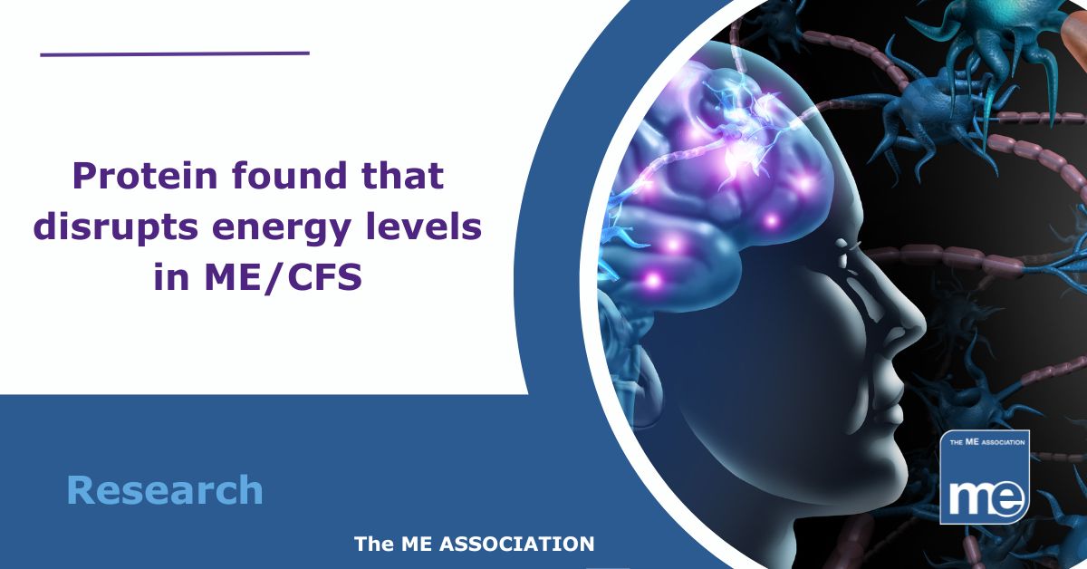 Image description: The image shows a persons brain function with synapses glowing. The title reads High levels of protein, WASF3, found in people with ME/CFS and Long Covid. ME Association logo bottom right