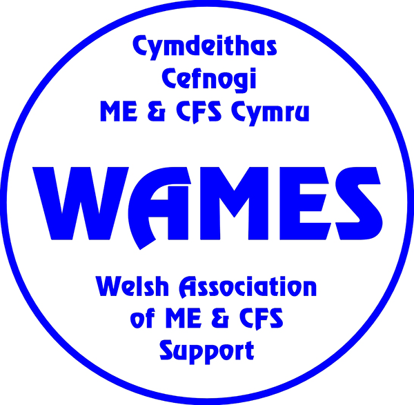 Welsh Association of ME & CFS Support Logo