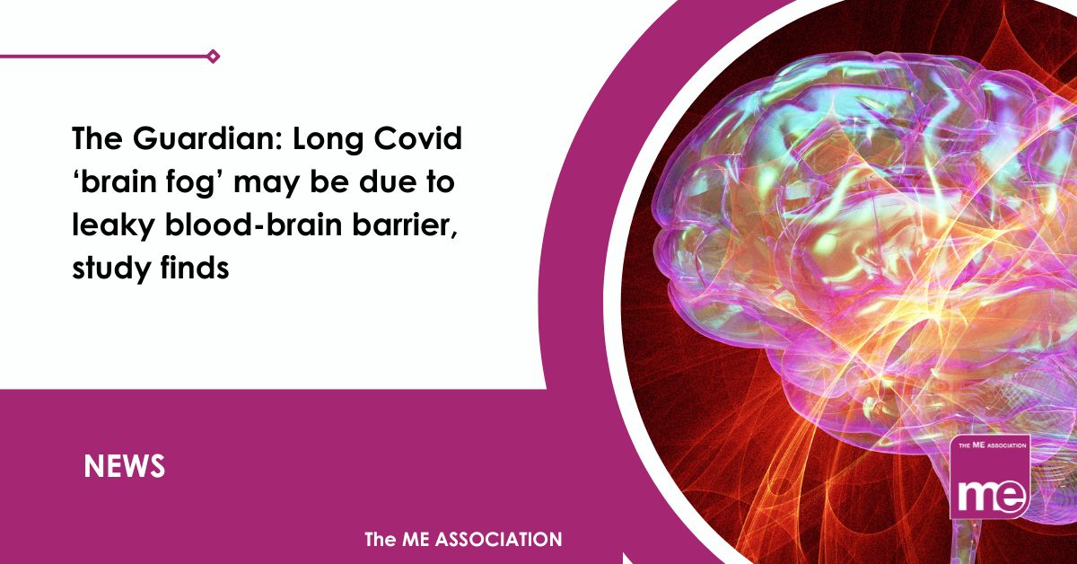 IMAGE DESCRIPTION: An image of the brain. Title: The Guardian: Long Covid ‘brain fog’ may be due to leaky blood-brain barrier, study finds. The ME Association Logo (bottom right)