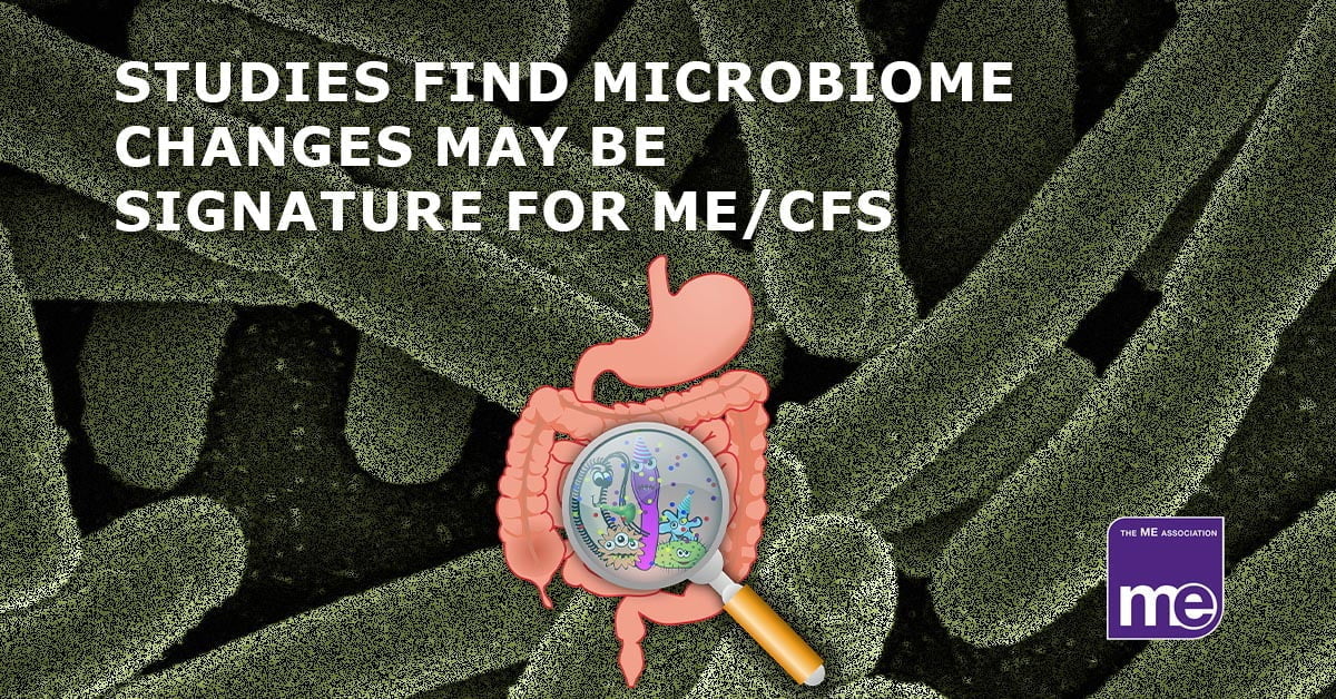 Gut bacteria test for ME CFS