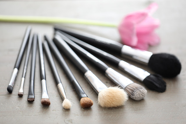 10 Makeup Brushes Everyone Needs