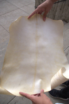 Details of various parchments 9