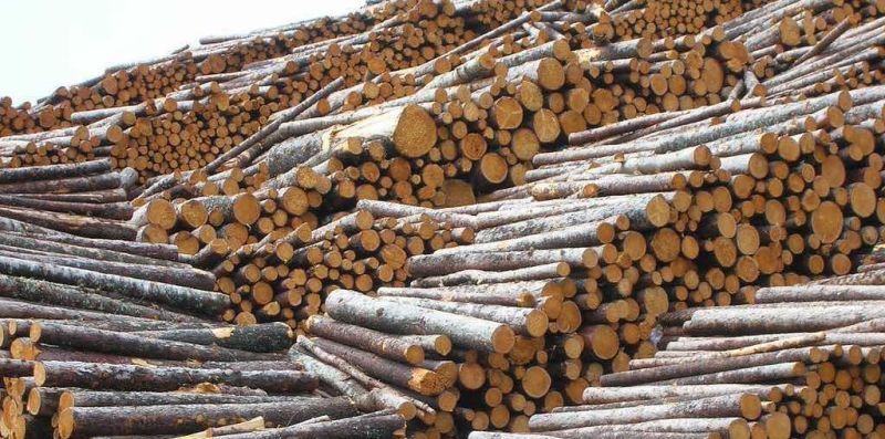 Laravel Create Custom Log File Example - Best Nature Arts in 4K