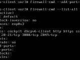 Network File System Nfs Administration On Linux Devconnected