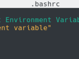 How To Set Environment Variable In Bash Devconnected