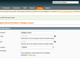 Category Import Mage2plenty Magento 1 Connector Guide