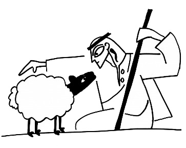 You the Sheep, Me, the Shepherd
