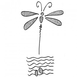 Tale of the dragonfly