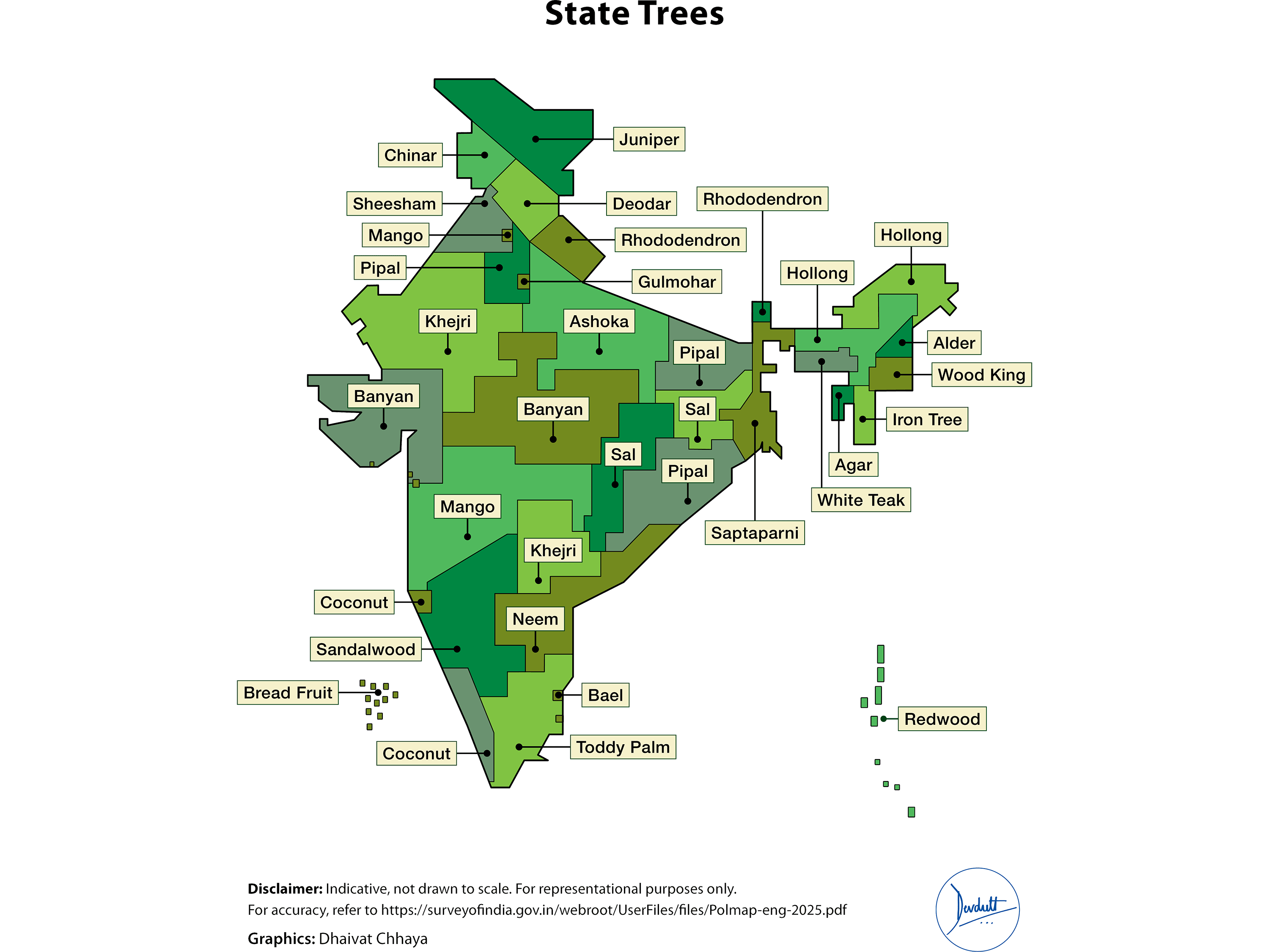 Cultural Significance of State Trees