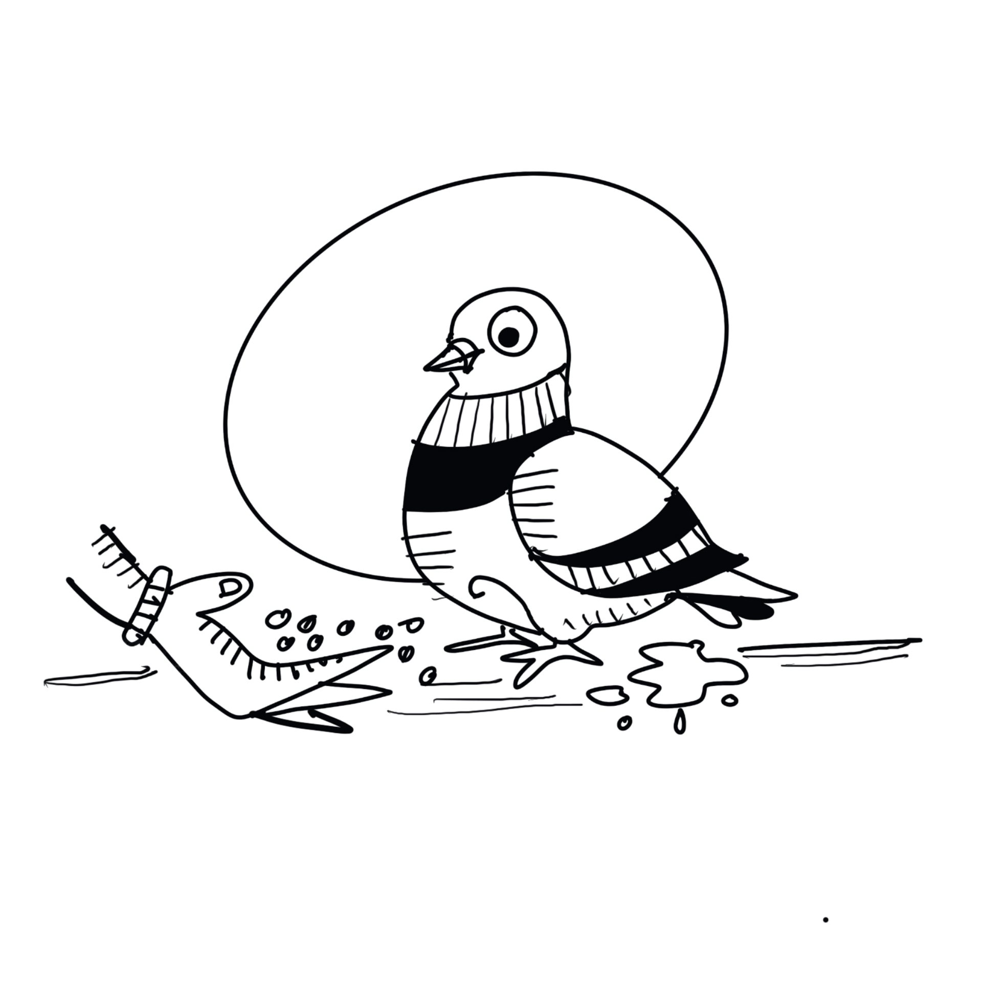 Pigeon Spirituality