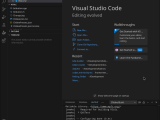 Visual Studio Code Developer