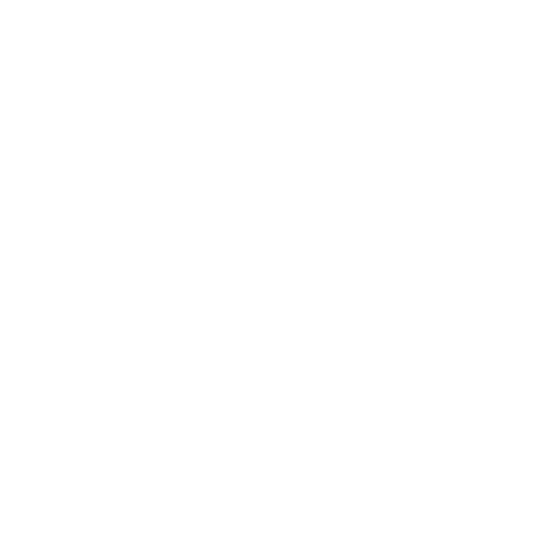Develop Disciples Logo