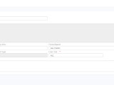 Developer Options Agile Developer