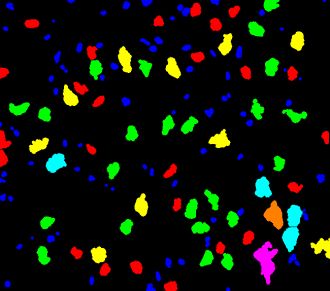 Imagedev 2022 1 Imagedev Developer Zone - Geometric Picture Collection - High Resolution Quality