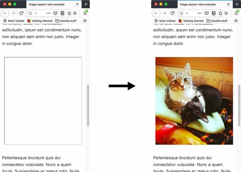 Docs Rodeo - Premium Gradient Photo Gallery - 8K