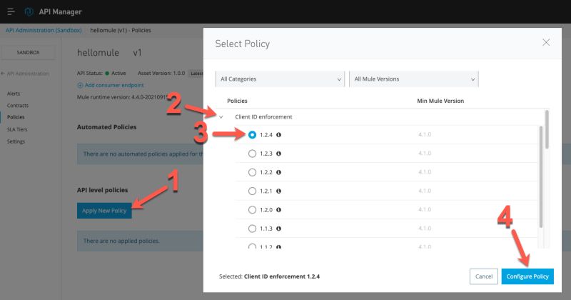 Client Id Enforcement Mulesoft Documentation - Abstract Picture Collection - 8K Quality