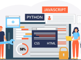 Programmatic Merchant Onboarding In Python North Developer