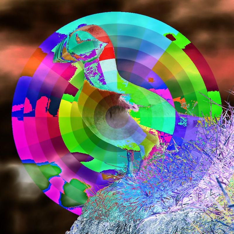 Image Transformations Accelerator Ring Publishing Developer Guide - Download Artistic Colorful Pattern | Retina