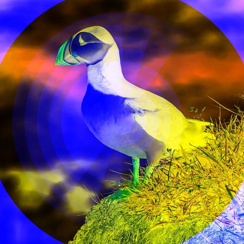 Image Transformations Accelerator Ring Publishing Developer Guide - Mountain Designs - Creative Full HD Collection