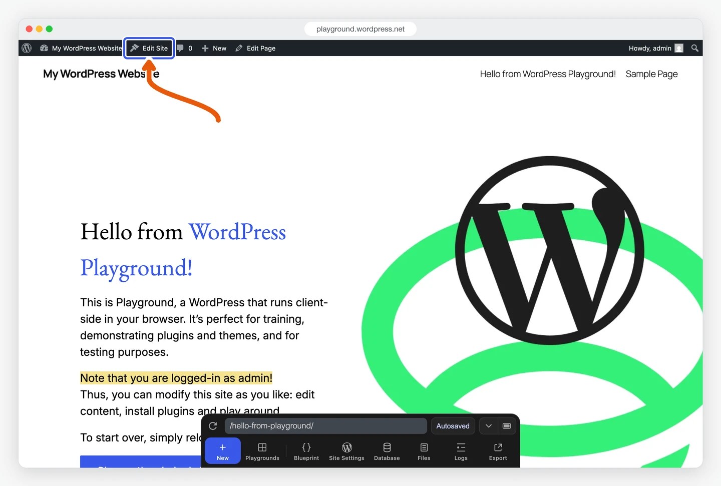Editing WordPress websites