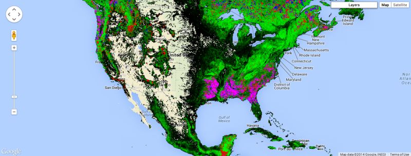 Monitoring Forest Vegetation Condition Google Earth Engine Google - Gradient Pictures - Gorgeous Ultra HD Collection