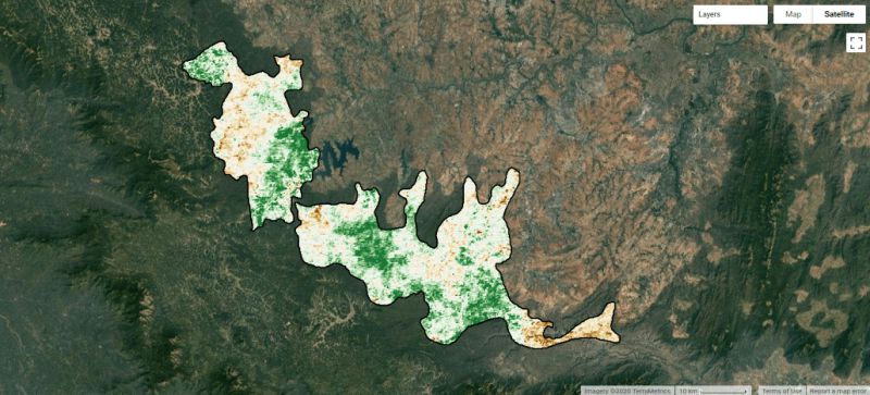 Monitoring Forest Vegetation Condition Google Earth Engine Google - Light Backgrounds - Ultra HD Desktop Collection