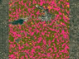 Unsupervised Classification With Satellite Embedding Dataset Google