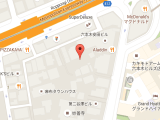 Vector Map Features Maps Javascript Api Google For Developers