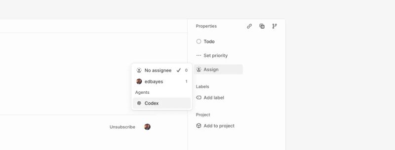 Use Codex In Linear - Best Landscape Backgrounds in Retina