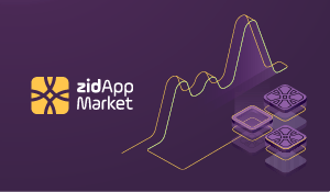 Zid Developers - Premium Gradient Illustration Gallery - Full HD