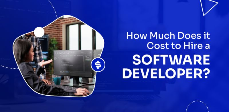 How Much It Costs To Hire A Software Developer Coders Dev - Best Gradient Wallpapers in Mobile