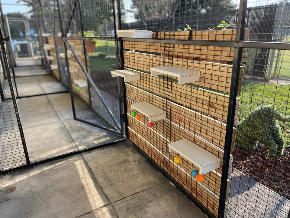 Acadiana animal aid’s shelter facility renovations phase 1 complete, phase 2 starting in october