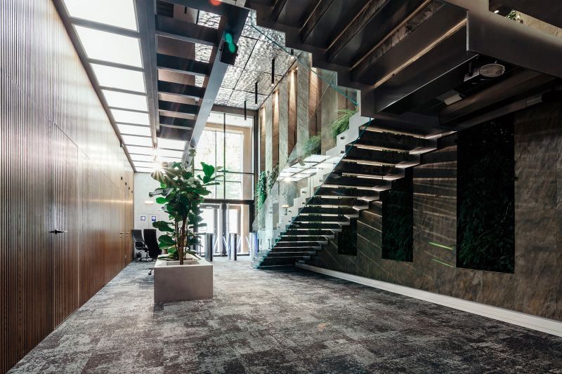 Andriy Bashta Medium - Download Amazing Light Pattern | 4K