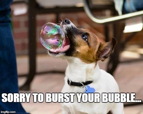 Is This the Start of an NFT Bubble?