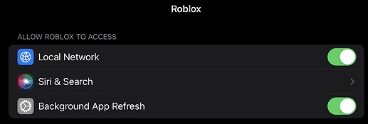 Can T Enable Roblox App On IPad 10th Generation 2 517x175 