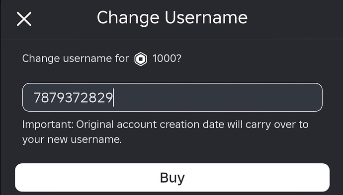 Roblox Username Filter Slightly Broken Other Bugs Developer Forum 2 690x393 
