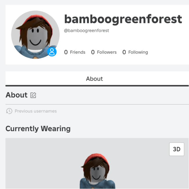 Previous Usernames No Longer Show On Profiles Roblox Application And 