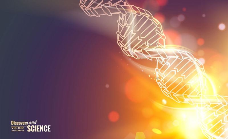 Maycry Maycry Github - Desktop Vintage Illustrations for Desktop