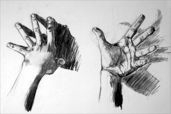 Hand Study