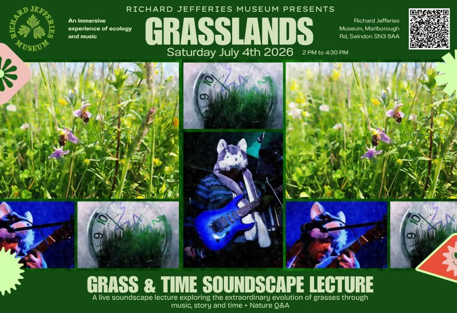 National Meadows Day: The Grass & Time Soundscape Lecture at Richard Jefferies Museum
