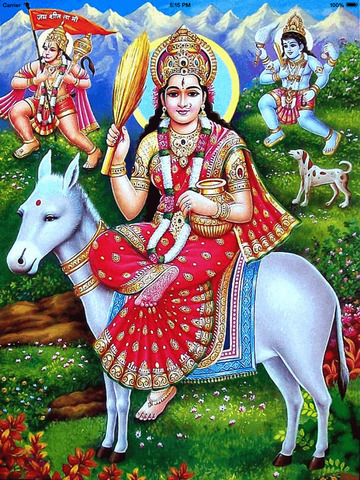 Read more about the article शीतला माता चालीसा | Shitla Mata Chalisa