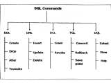 Class 10 Computer Science Chapter 3 Database Dev Library