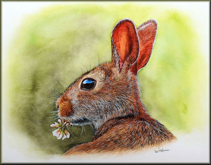 Button to all the videos linked to the Rabbit watercolour tutorial