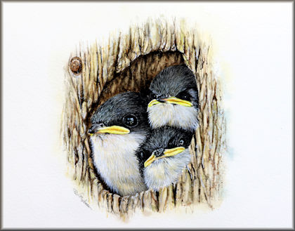 Tree Swallows in Watercolour by Paul Hopkinson button linking to the video tutorial