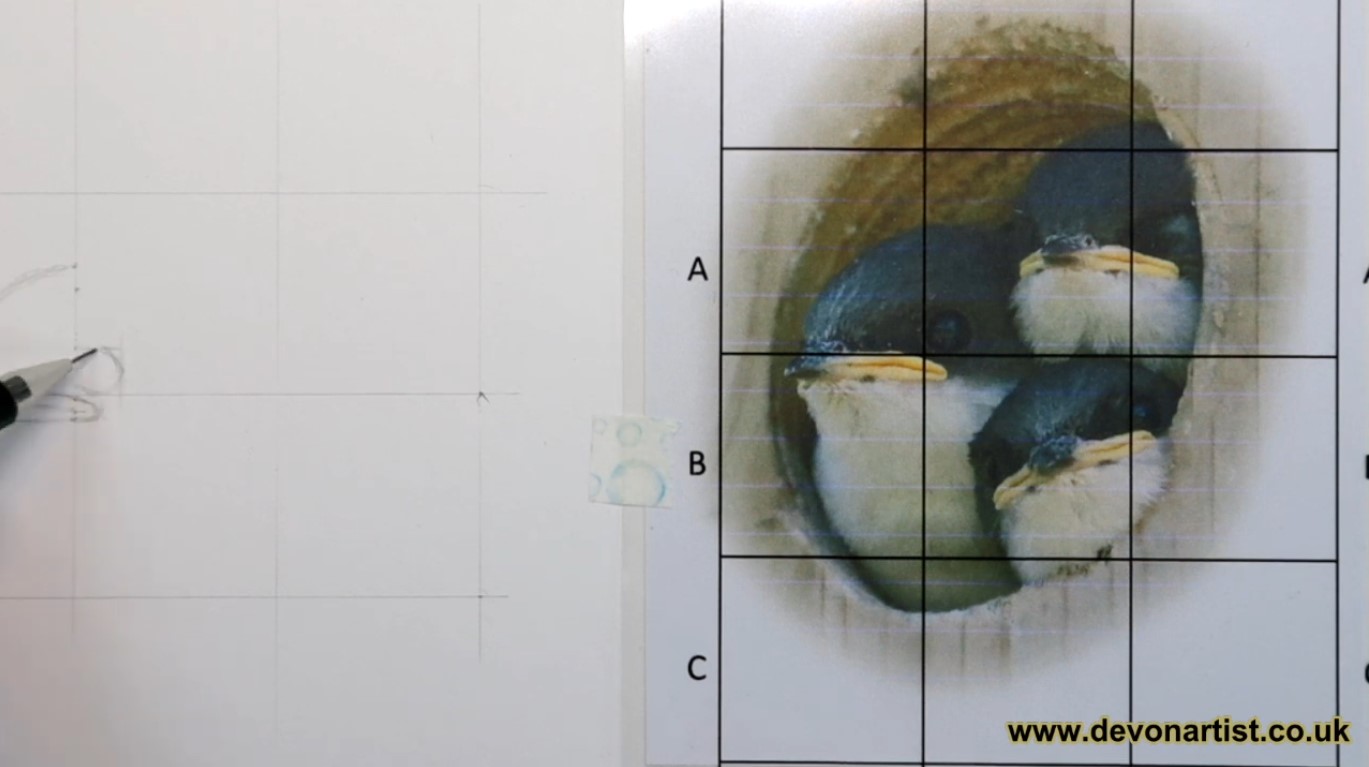 How to use a grid system to draw by Paul Hopkinson