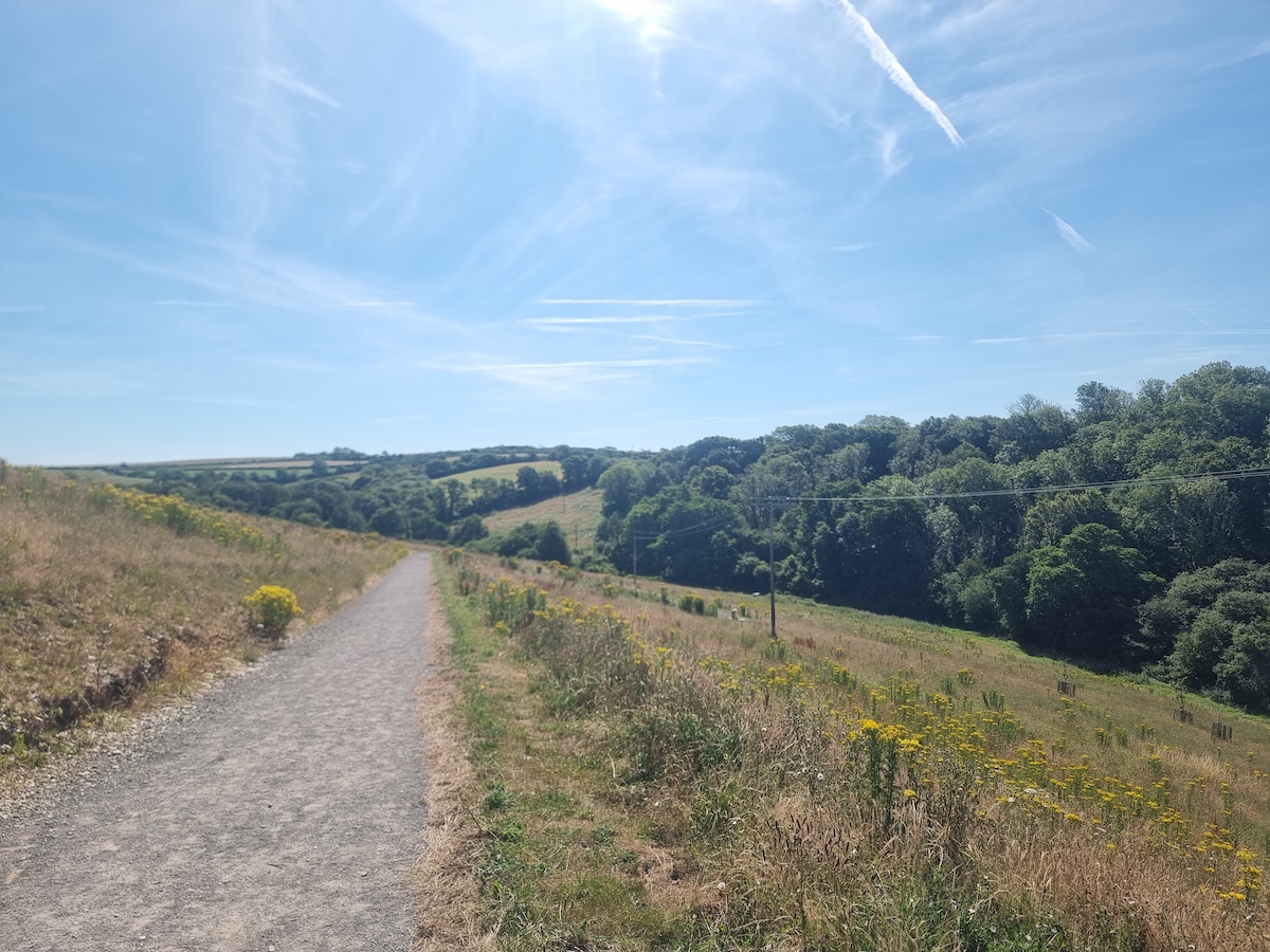 How Devon is Redefining the UK’s Rewilding Movement