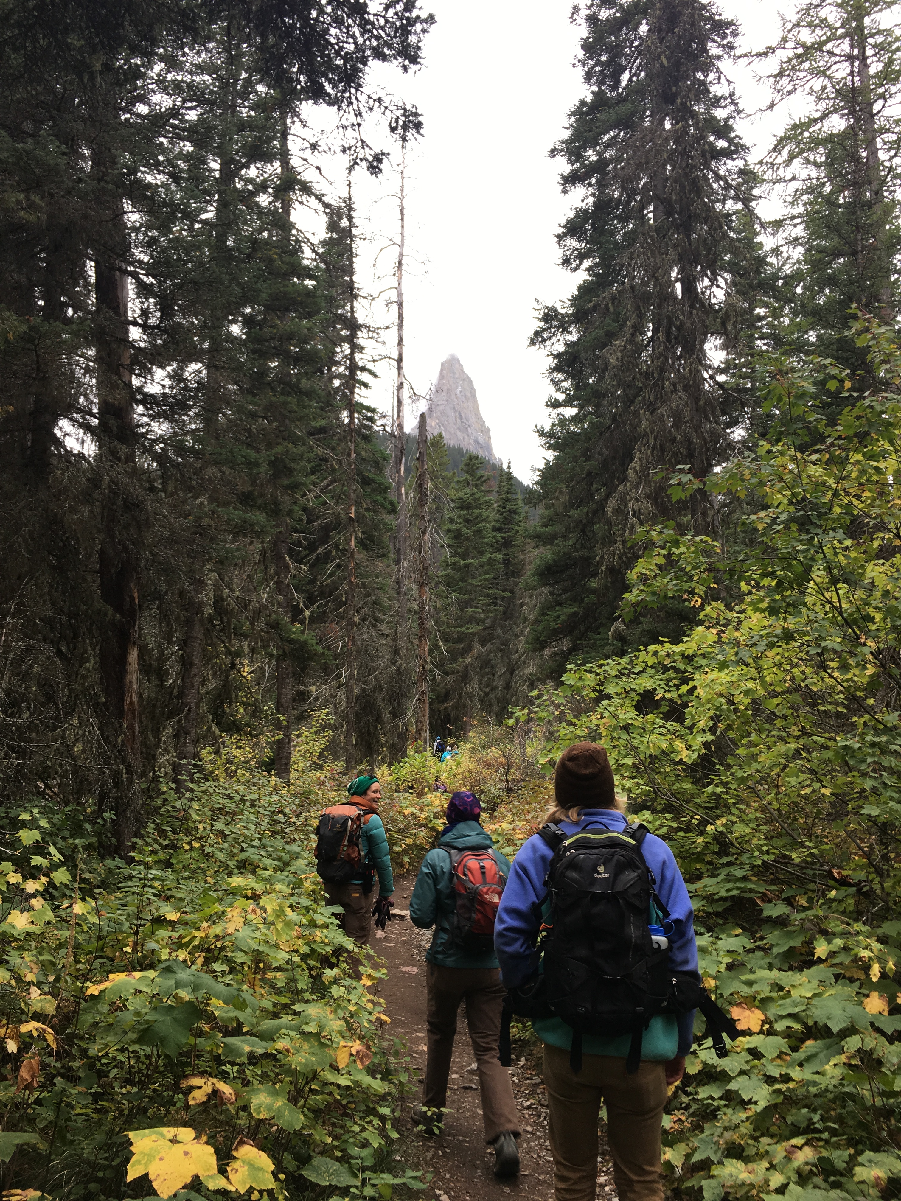 In search of a contact