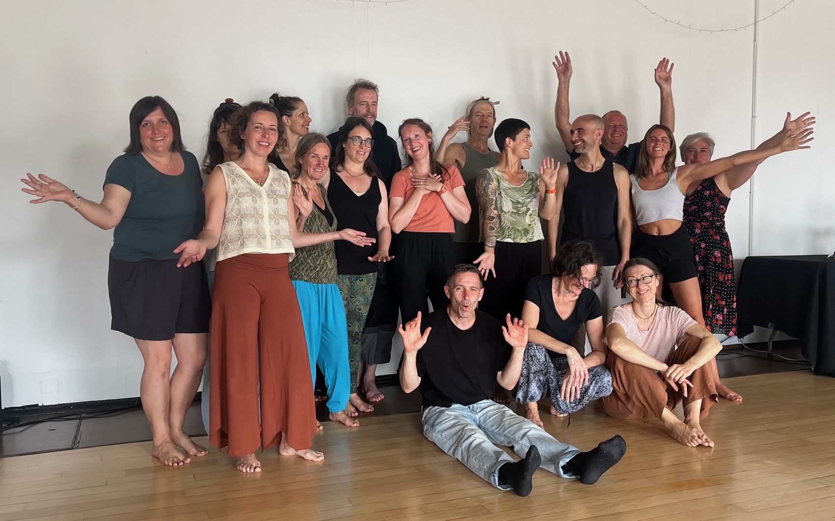 Devon School of Soul Motion Level 2 Graduates