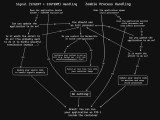 Container Init Process